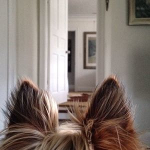 Meet your Posher, Elizabeth